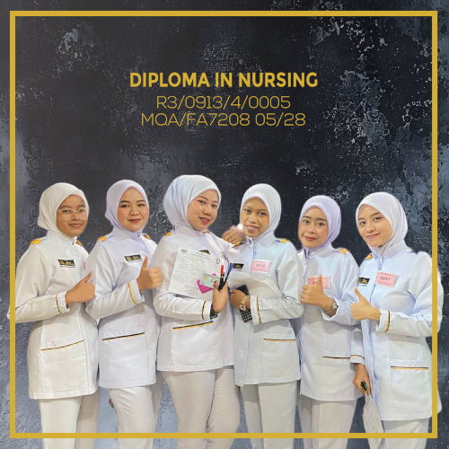 Diploma in Nursing