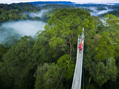 Danum Valley, Sabah